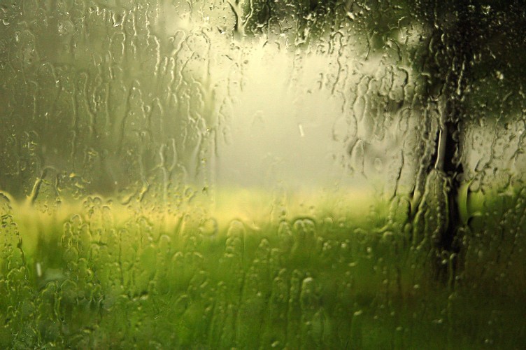 178808500_da3d423575_o